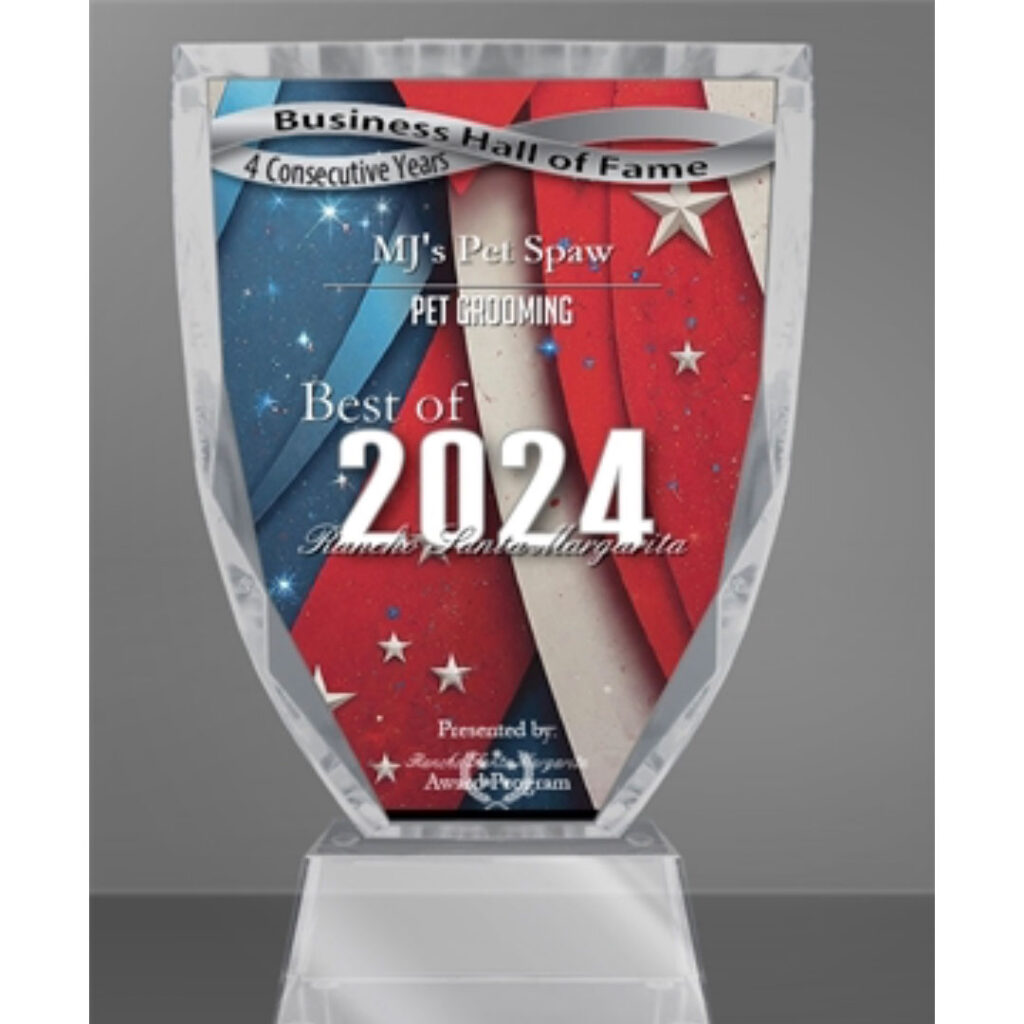 MJ Award 2024